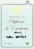 Diploma de excelenta